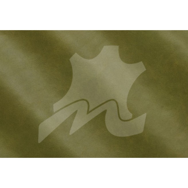 Aligo Group фото